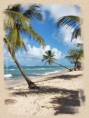 /album/la-guadeloupe-/a12965218plage-guadeloupe-jpg-jpg/