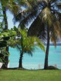 /album/la-guadeloupe-/a34584323sortie-terrain-guadeloupe-jpg-jpg/