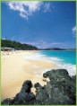 /album/la-guadeloupe-/a48737859photo-guadeloupe-jpg-jpg/